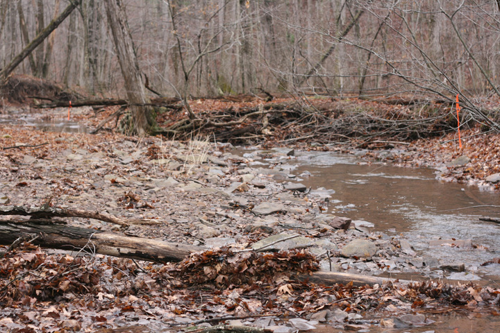 Field photo showing stream conditions at site FIMI-129-A-2009-1