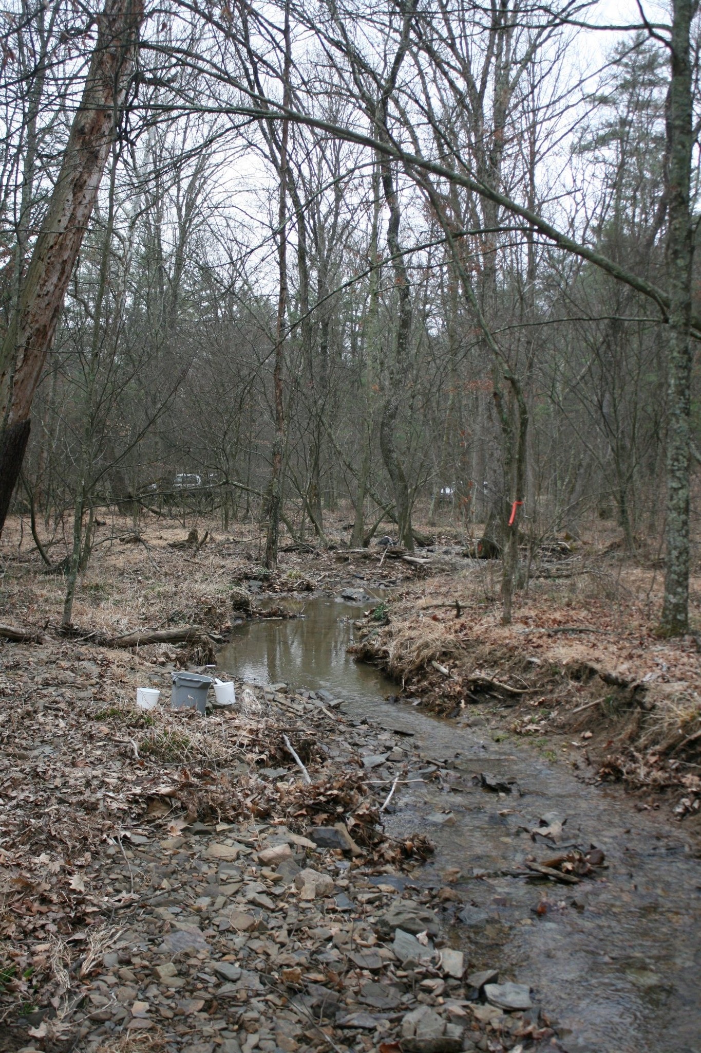 Field photo showing stream conditions at site FIMI-191-A-2012-Midpointdownstream