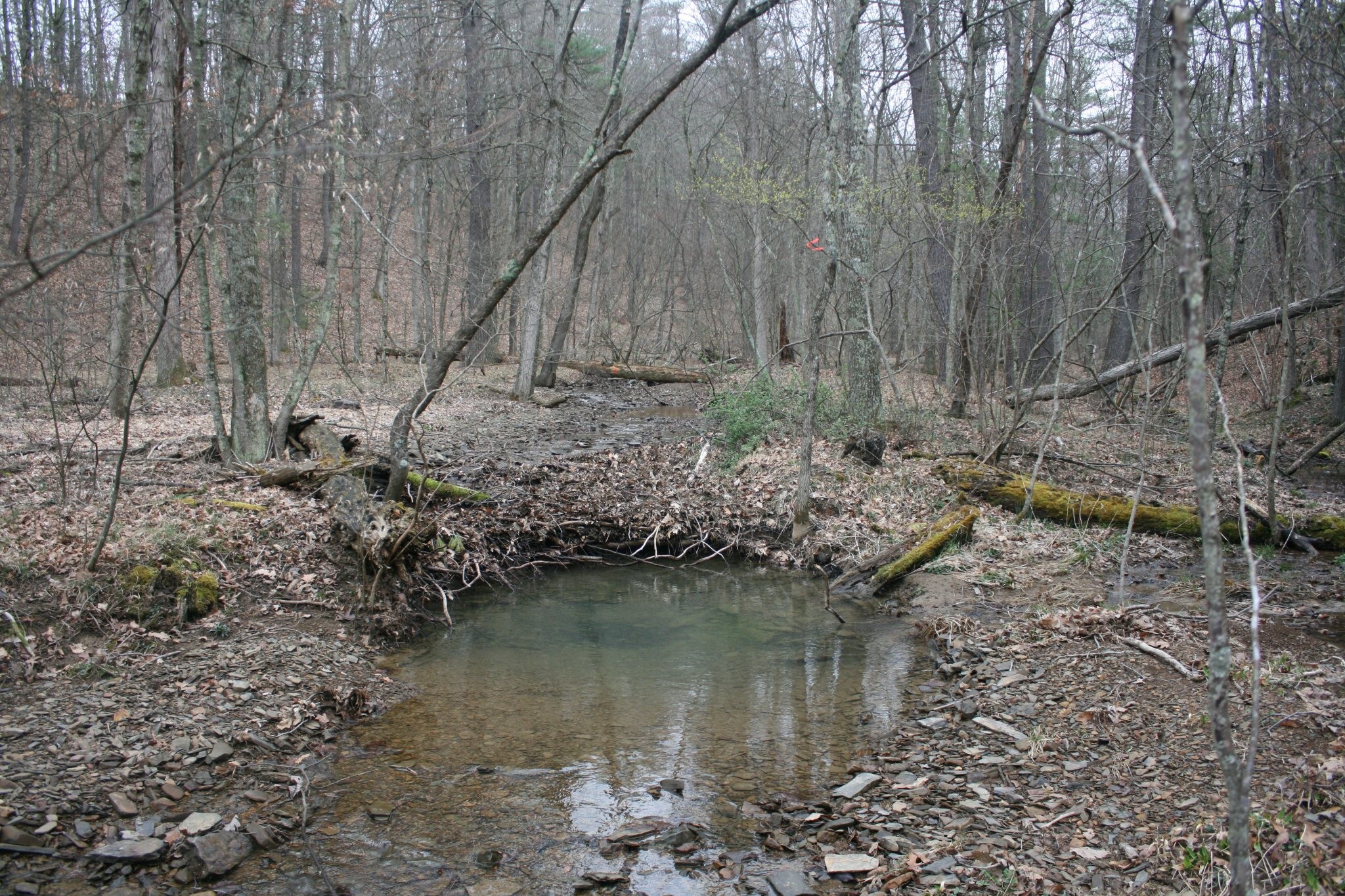 Field photo showing stream conditions at site FIMI-191-A-2012-Midpointupstream