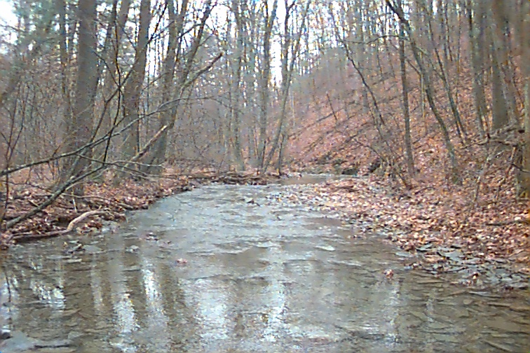 Field photo showing stream conditions at site FIMI-202-R-2000-01