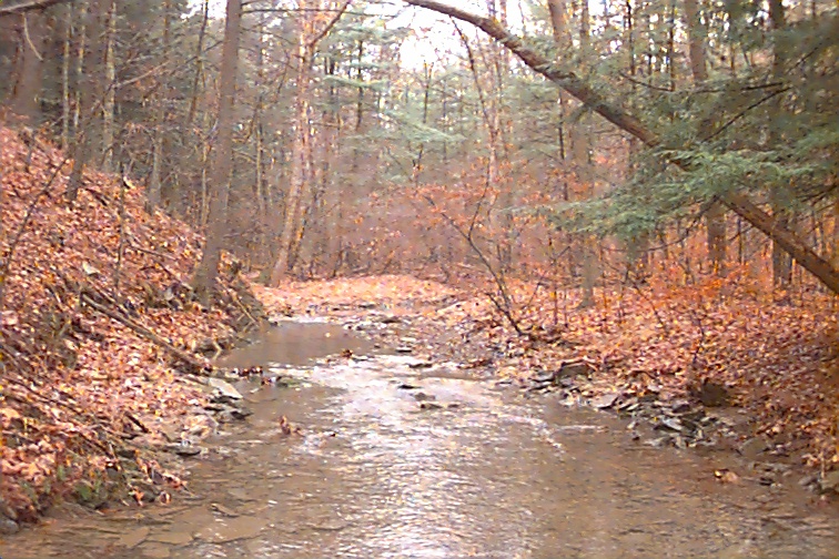 Field photo showing stream conditions at site FIMI-202-R-2000-02