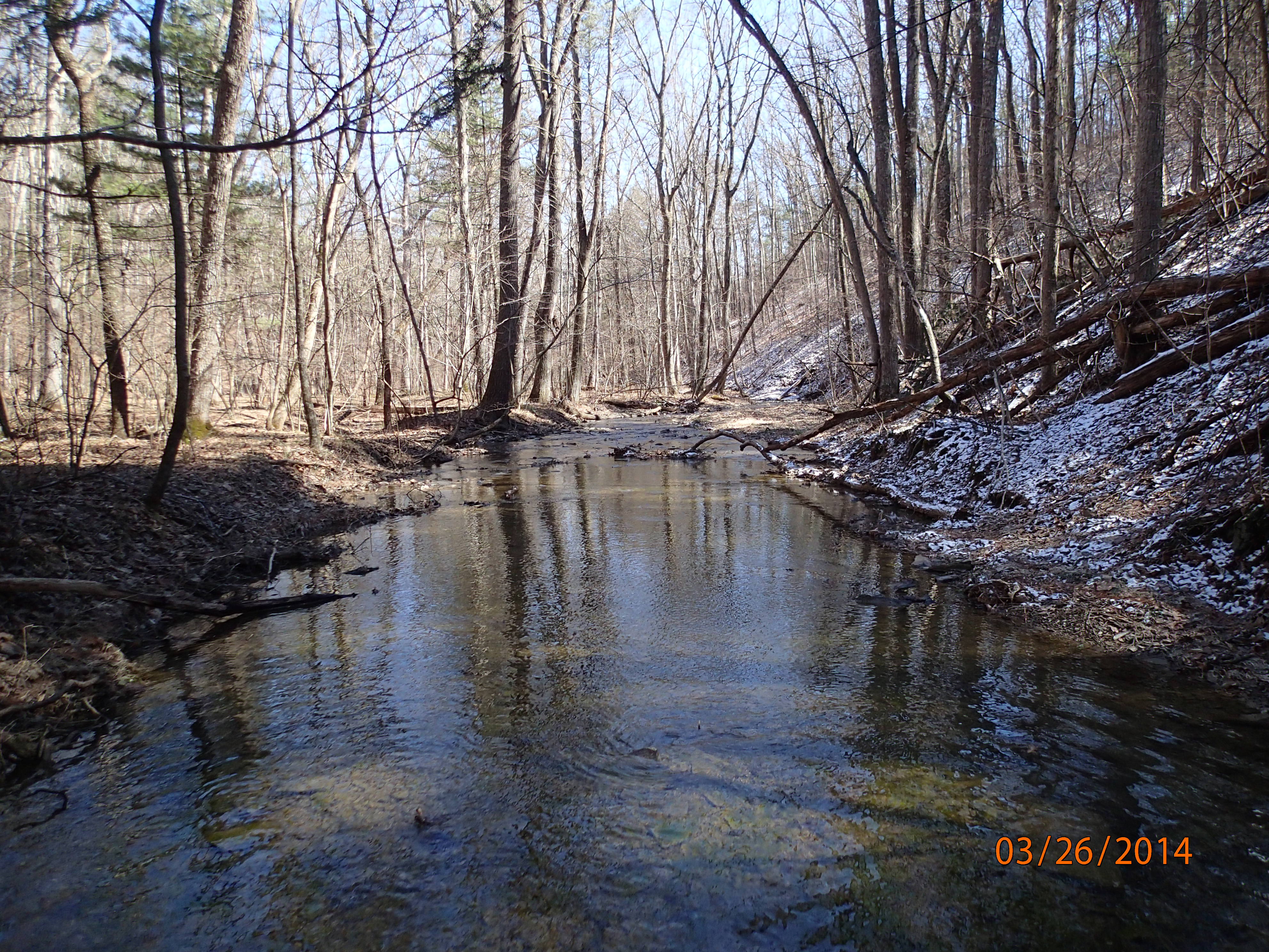 Field photo showing stream conditions at site FIMI-202-R-2014-MidpointDownstream