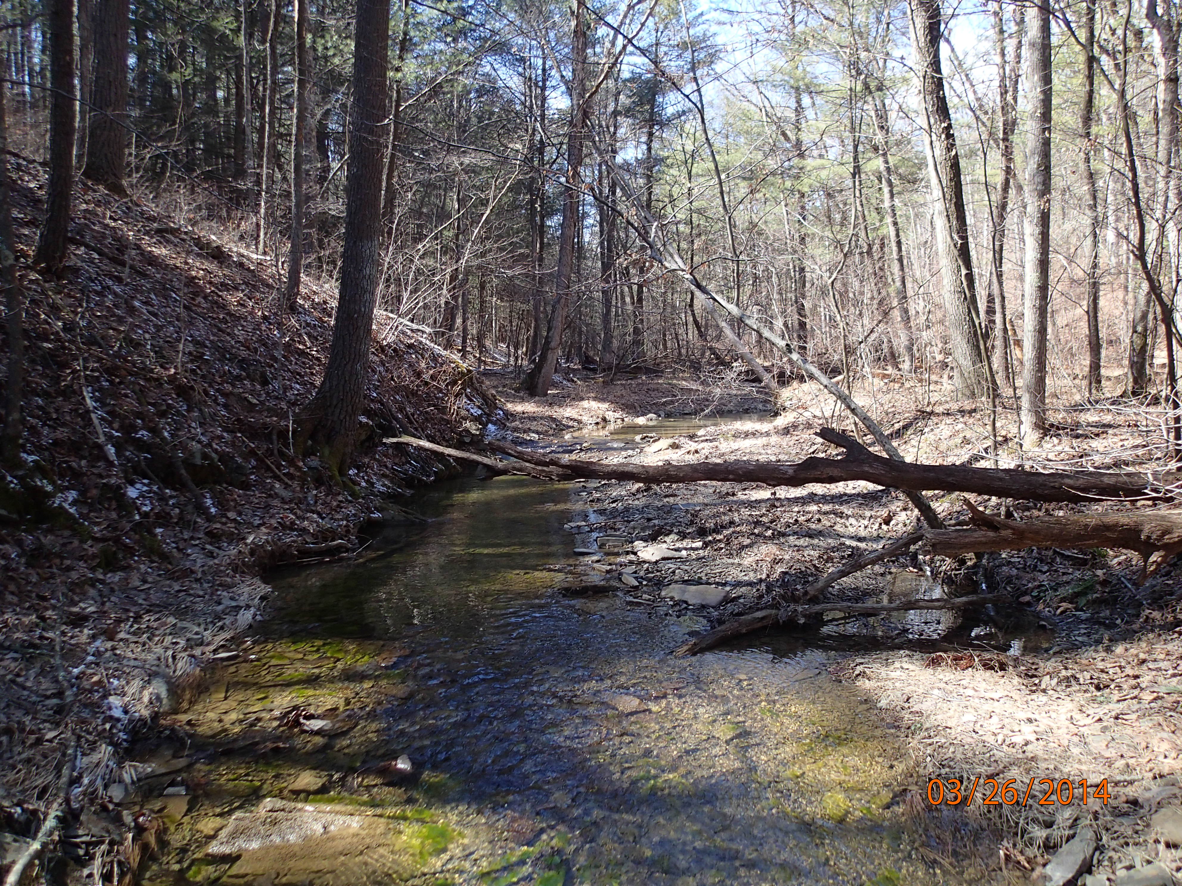 Field photo showing stream conditions at site FIMI-202-R-2014-MidpointUpstream