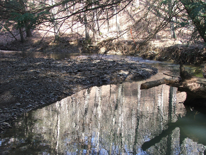 Field photo showing stream conditions at site FIMI-204-R-2008-1