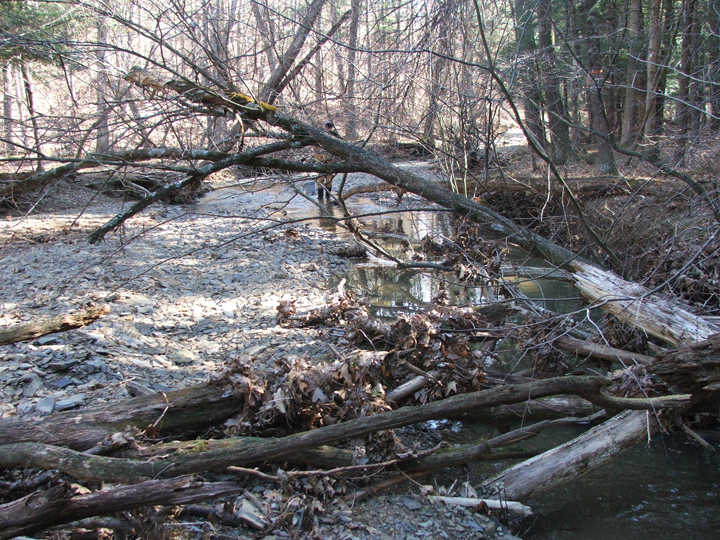 Field photo showing stream conditions at site FIMI-204-R-2008-2