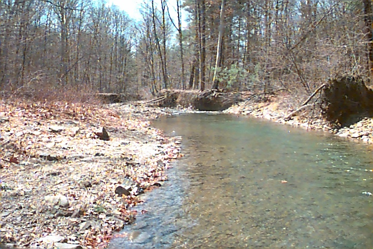 Field photo showing stream conditions at site FIMI-207-S-2000-01