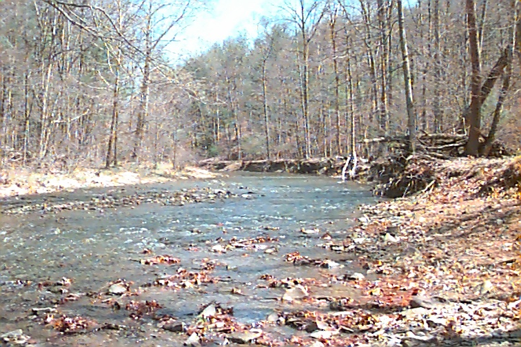 Field photo showing stream conditions at site FIMI-207-S-2000-02