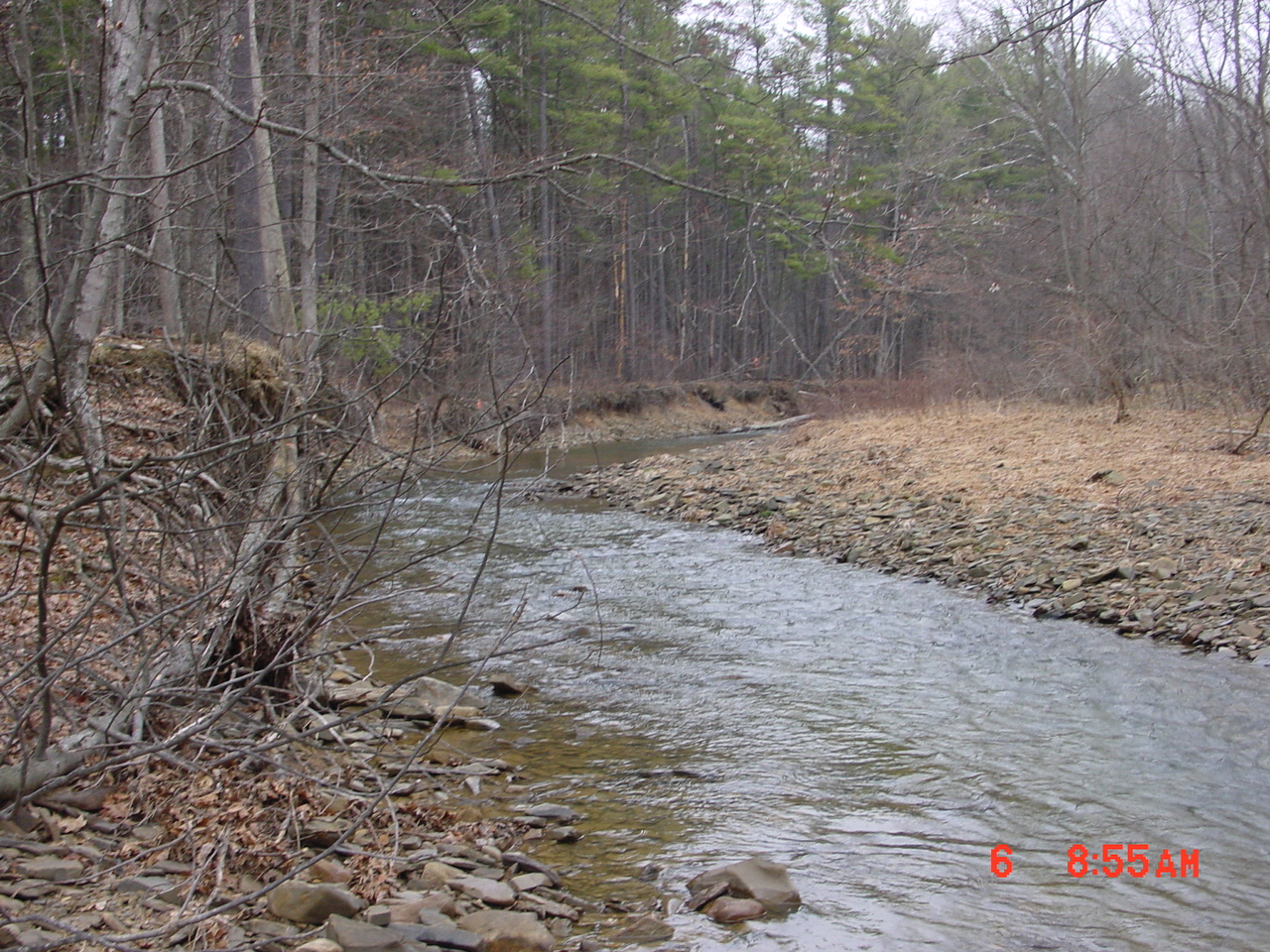 Field photo showing stream conditions at site FIMI-207-S-2001-2