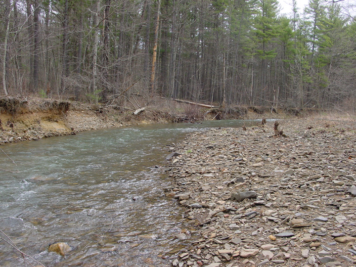 Field photo showing stream conditions at site FIMI-207-S-2007-1