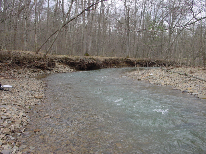 Field photo showing stream conditions at site FIMI-207-S-2007-2