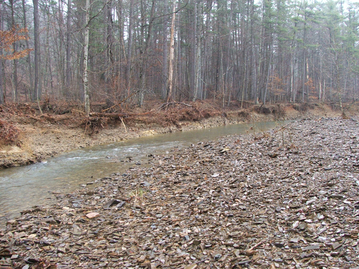Field photo showing stream conditions at site FIMI-207-S-2008-1