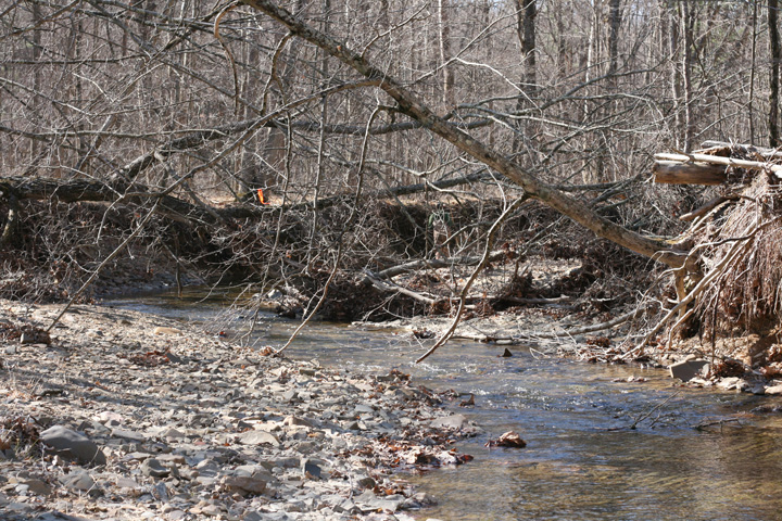 Field photo showing stream conditions at site FIMI-207-S-2009-1