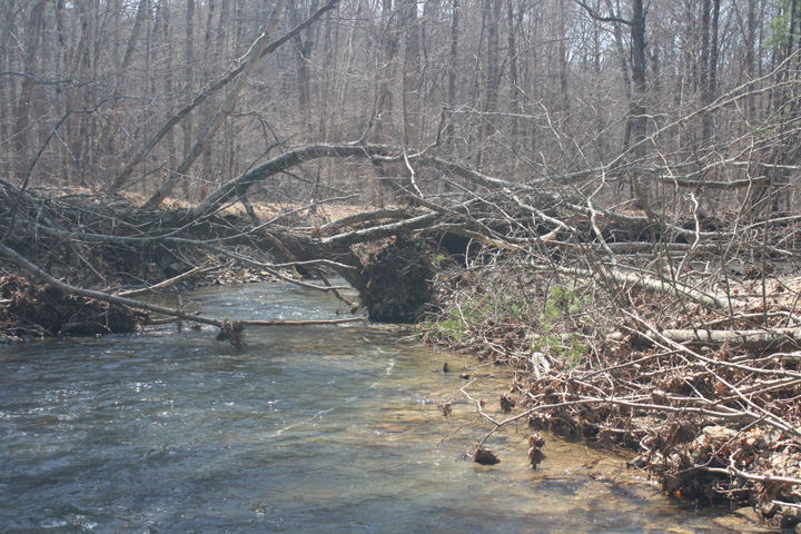 Field photo showing stream conditions at site FIMI-207-S-2010-2