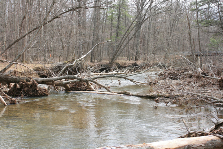 Field photo showing stream conditions at site FIMI-207-S-2011-2
