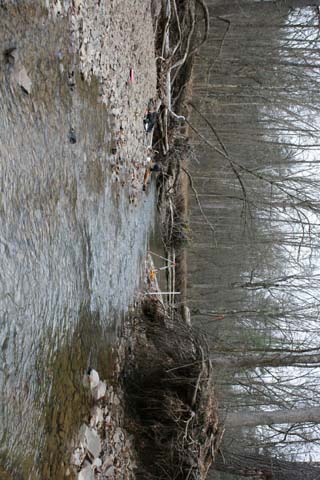 Field photo showing stream conditions at site FIMI-207-S-2012-MidpointPdownstream