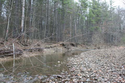 Field photo showing stream conditions at site FIMI-207-S-2012-MidpointPupstream