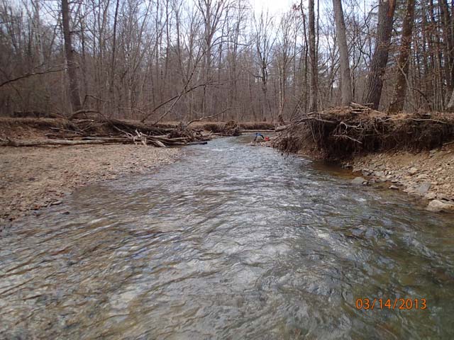 Field photo showing stream conditions at site FIMI-207-S-2013-MidpointPdownstream