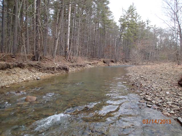 Field photo showing stream conditions at site FIMI-207-S-2013-MidpointPupstream