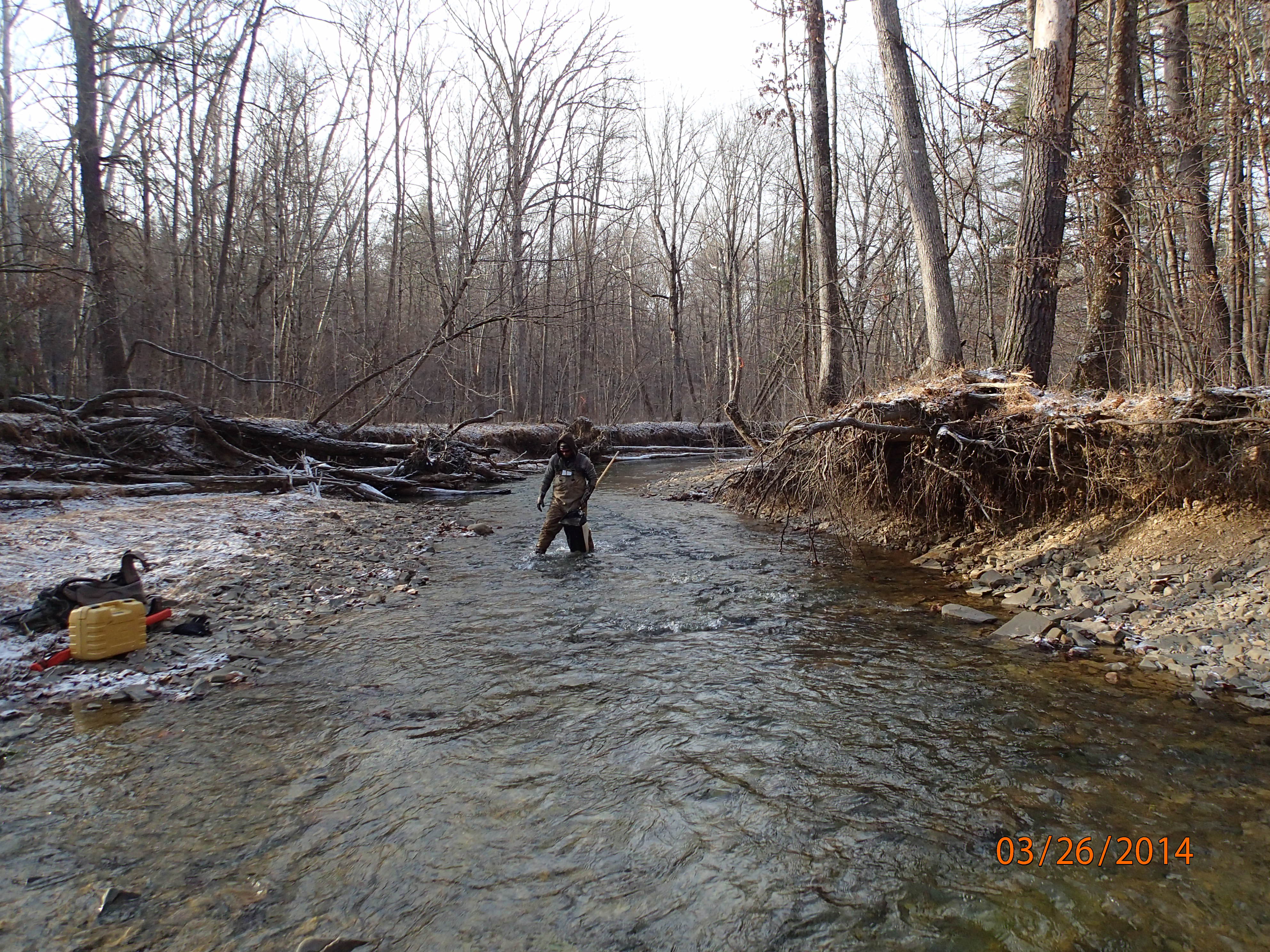 Field photo showing stream conditions at site FIMI-207-S-2014-MidpointDownstream