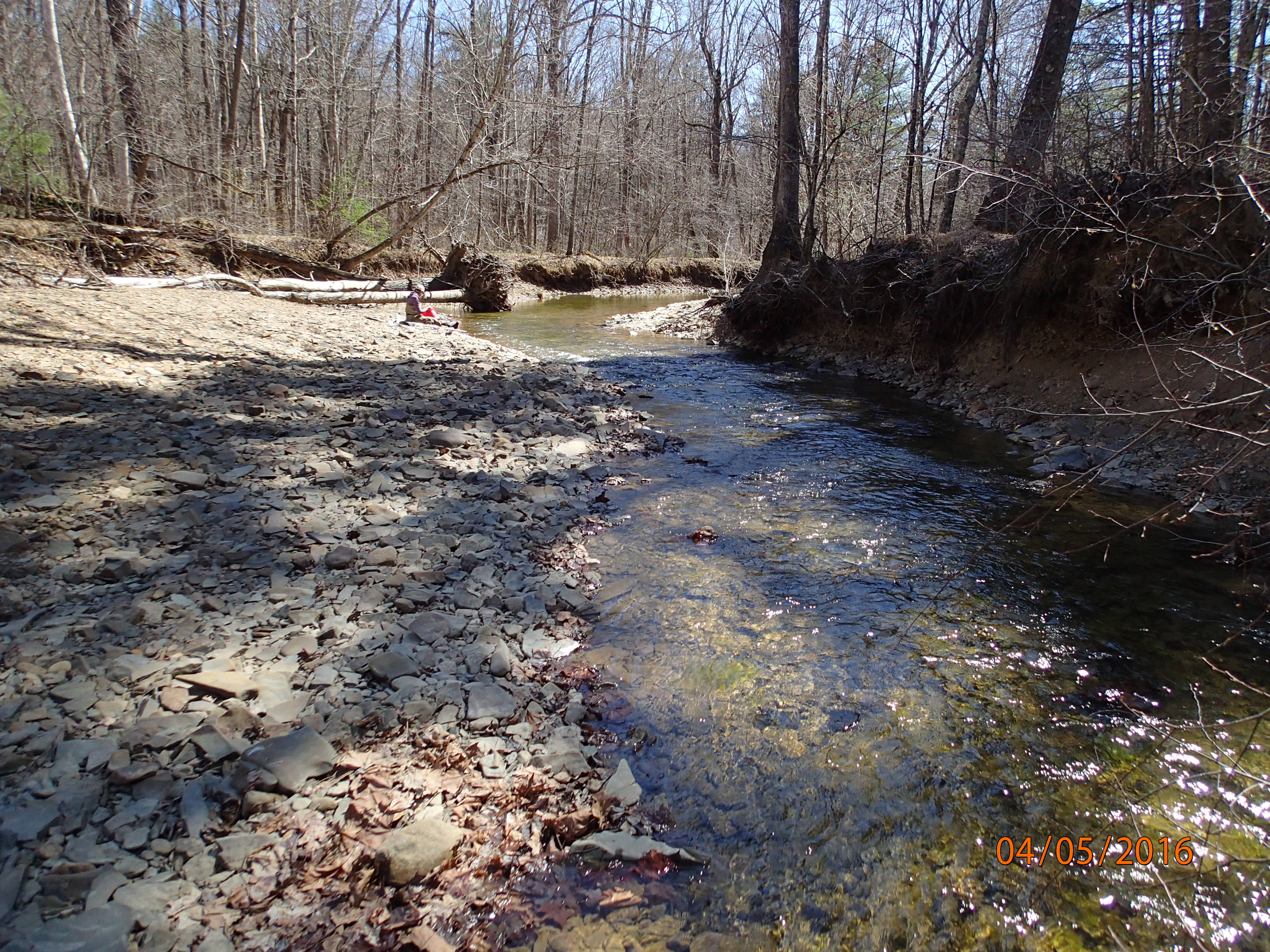 Field photo showing stream conditions at site FIMI-207-S-2016-MidpointPDownstream