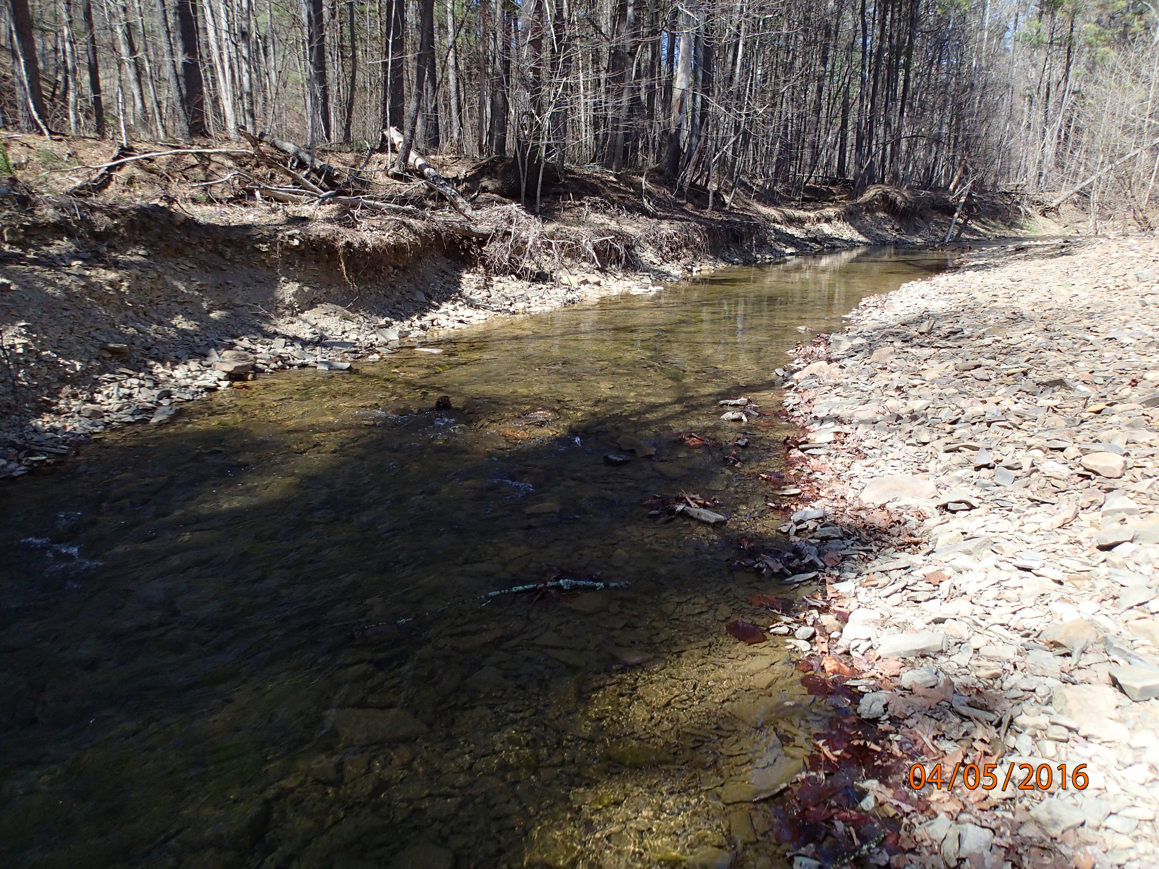 Field photo showing stream conditions at site FIMI-207-S-2016-MidpointPUpstream