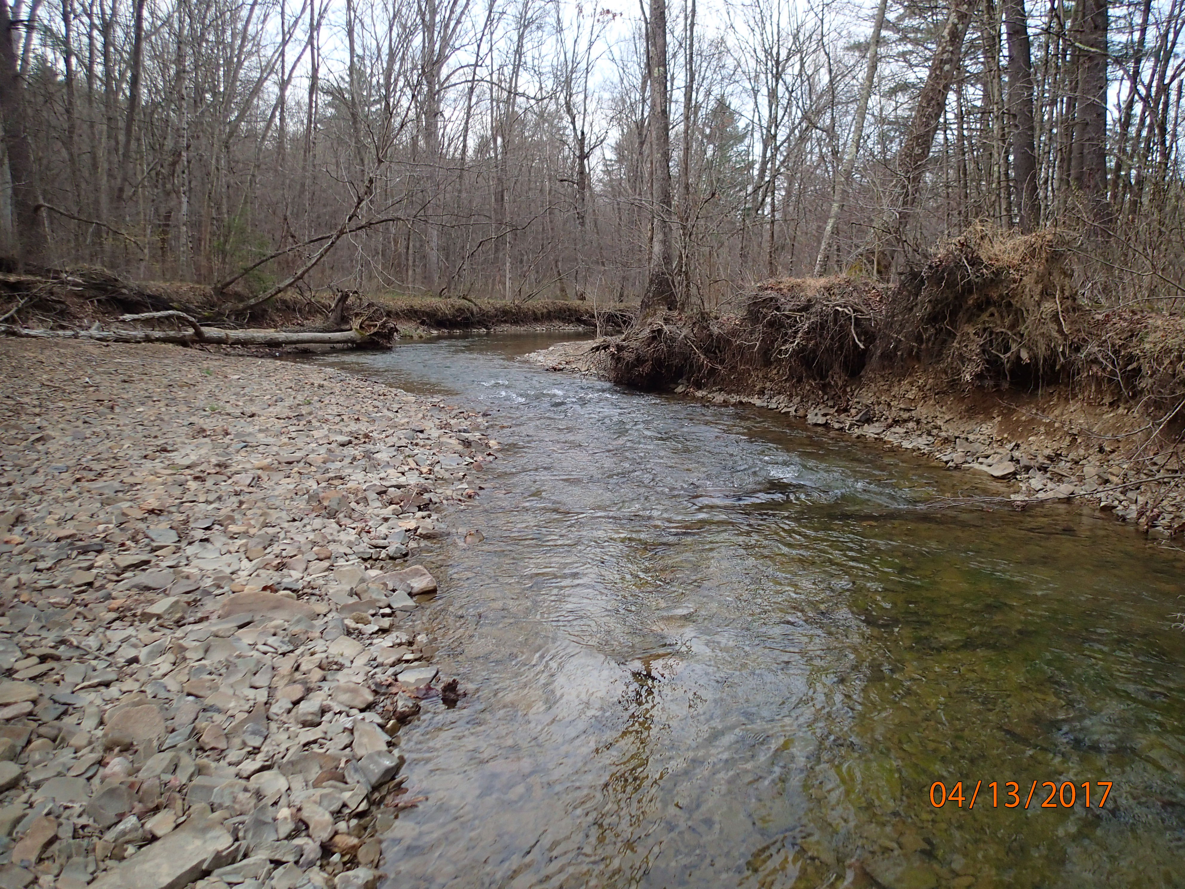 Field photo showing stream conditions at site FIMI-207-S-2017-MidpointPDownstream