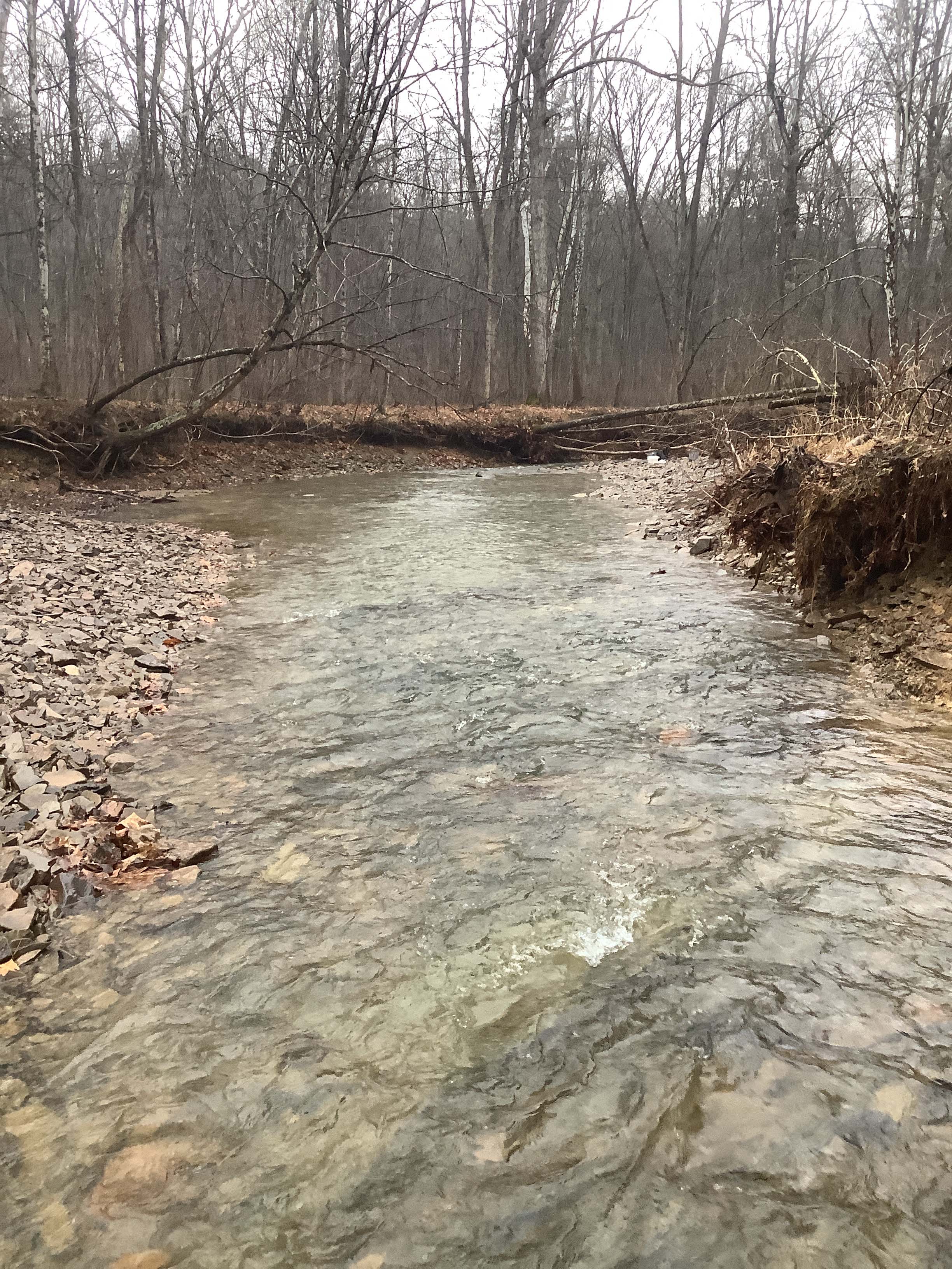 Field photo showing stream conditions at site FIMI-207-S-2023_Midpoint_facing_downstream