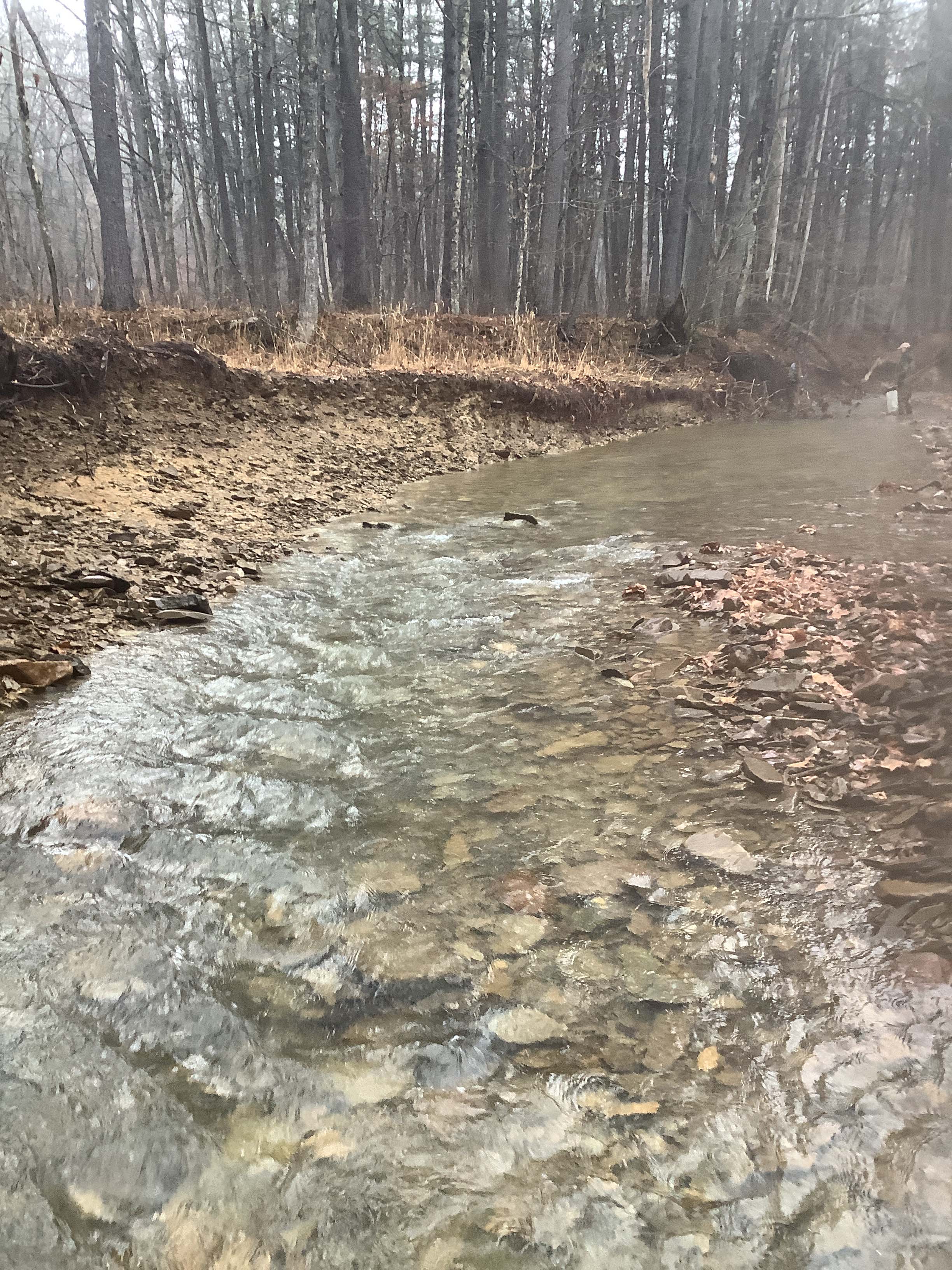 Field photo showing stream conditions at site FIMI-207-S-2023_Midpoint_facing_upstream