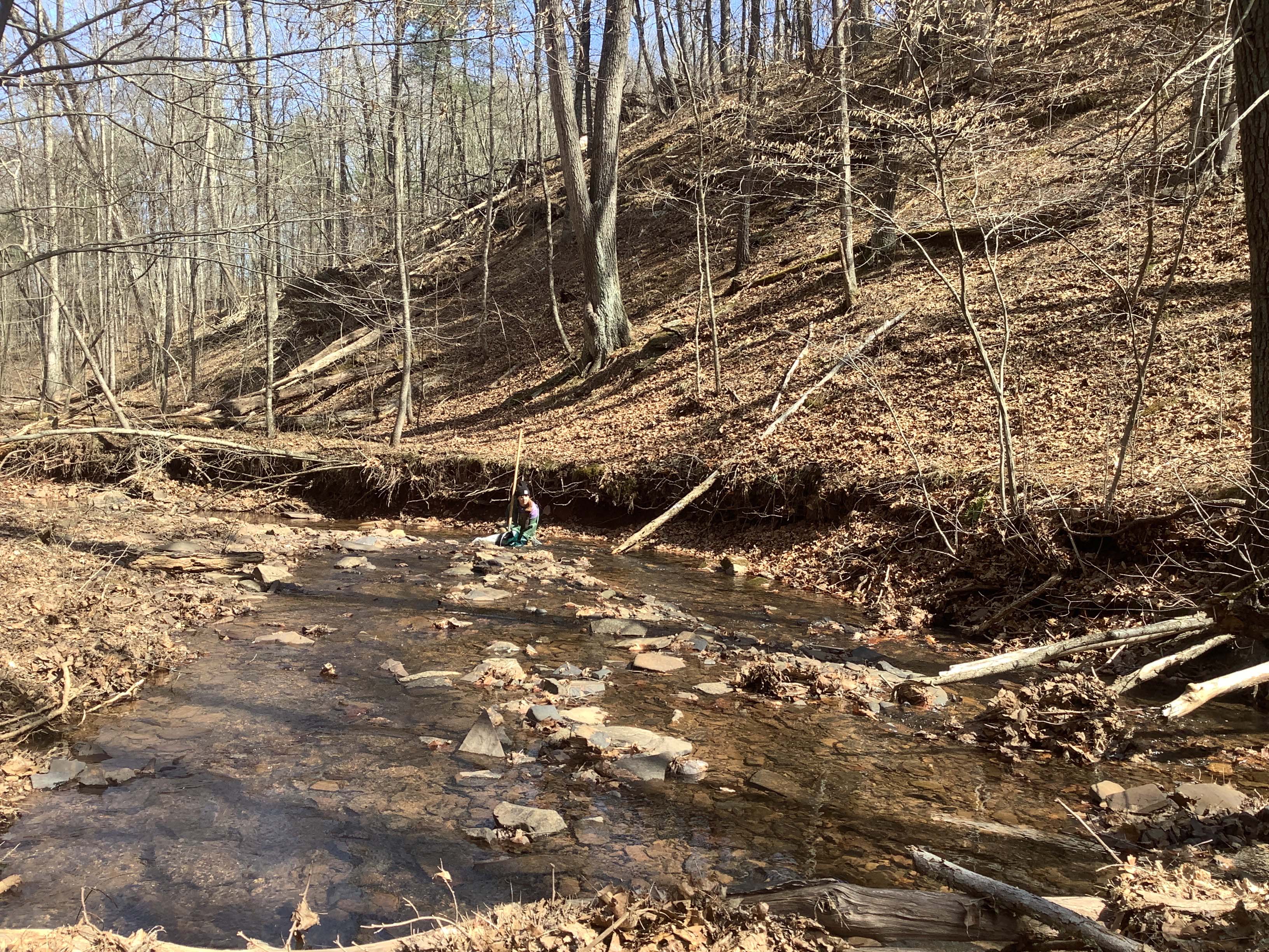 Field photo showing stream conditions at site FIMI-220-R-2023_Midpoint_facing_downstream