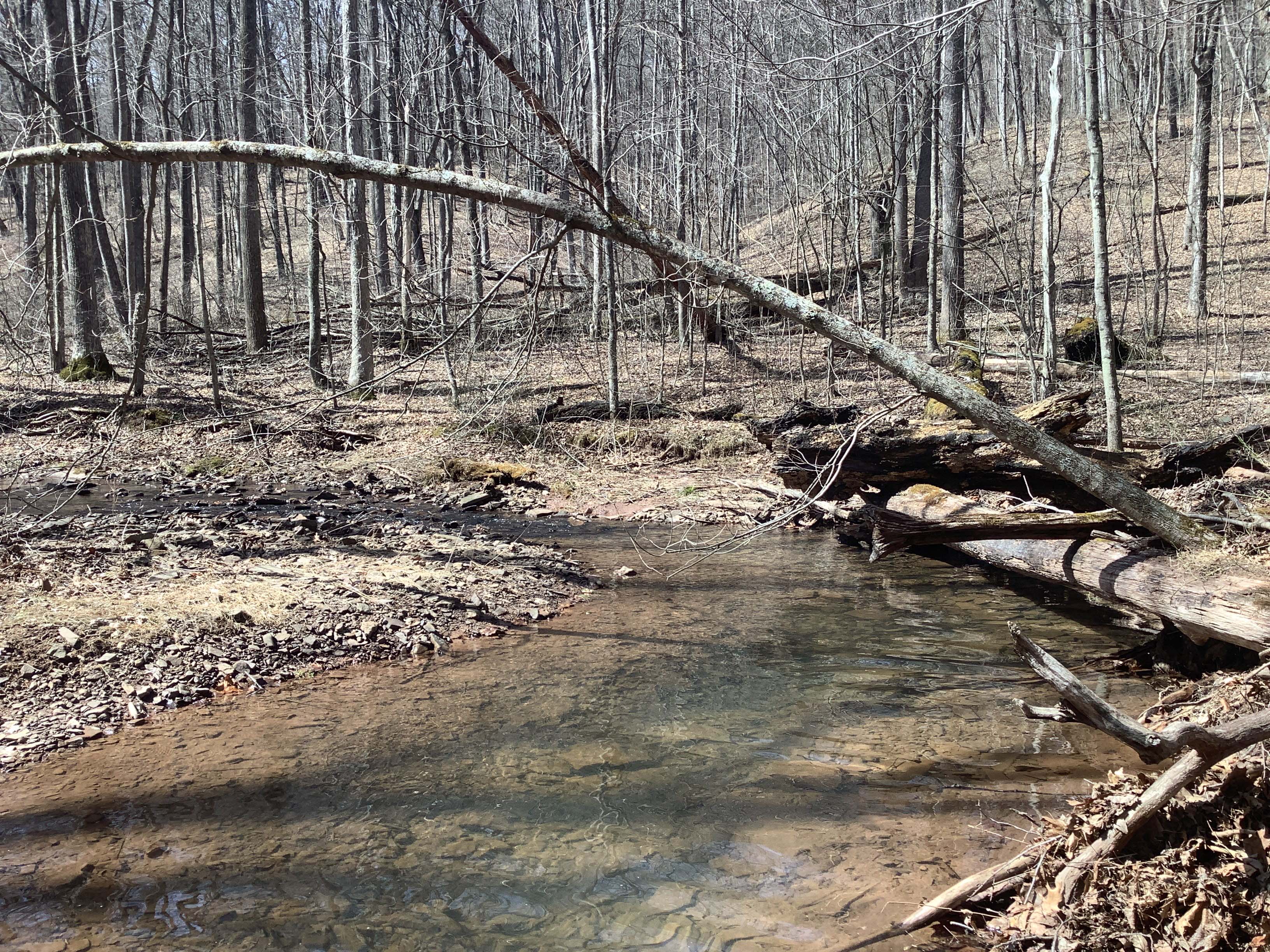 Field photo showing stream conditions at site FIMI-220-R-2023_Midpoint_facing_upstream