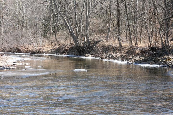 Field photo showing stream conditions at site FIMI-401-A-2009-1