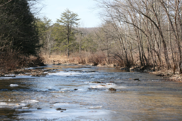 Field photo showing stream conditions at site FIMI-401-A-2009-2