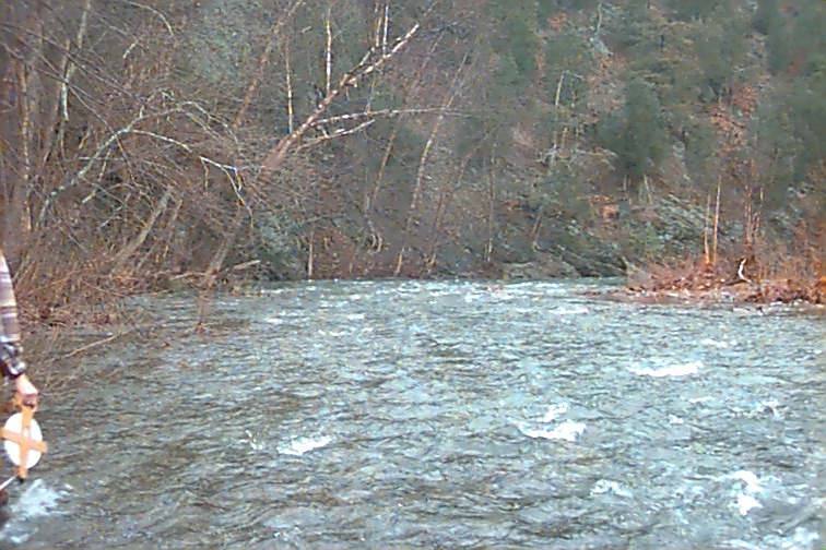 Field photo showing stream conditions at site FIMI-401-R-2000-01