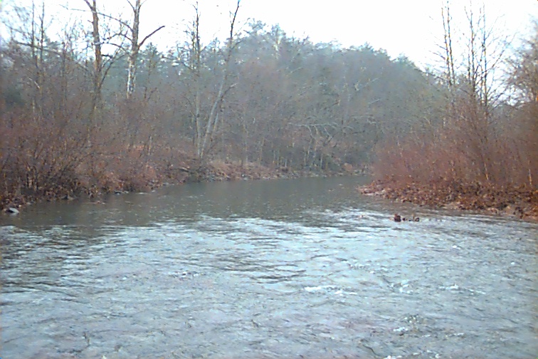 Field photo showing stream conditions at site FIMI-401-R-2000-02
