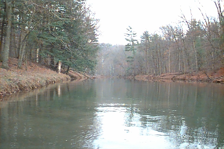 Field photo showing stream conditions at site FIMI-404-R-2000-01
