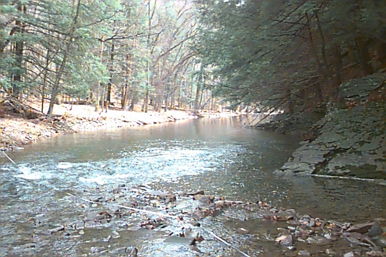 Field photo showing stream conditions at site FIMI-407-R-2000-01