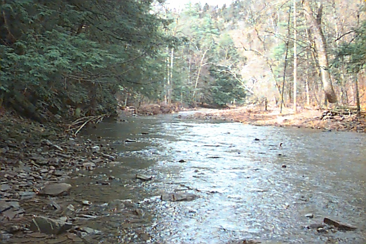 Field photo showing stream conditions at site FIMI-407-R-2000-02
