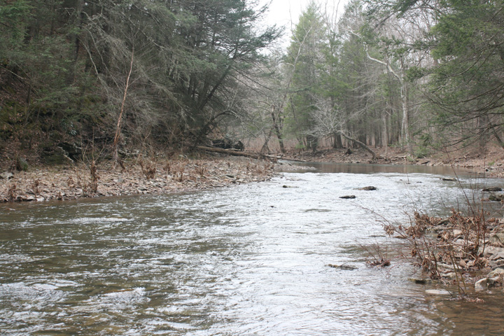 Field photo showing stream conditions at site FIMI-423-A-2010-1
