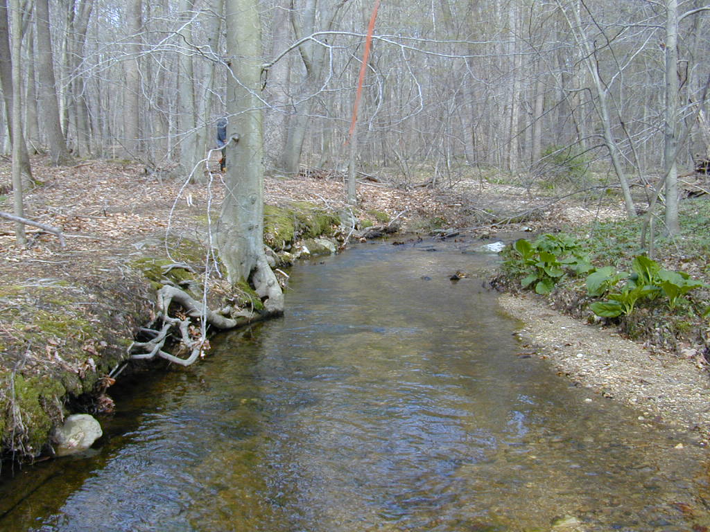 Field photo showing stream conditions at site FURN-101-C-2000-01
