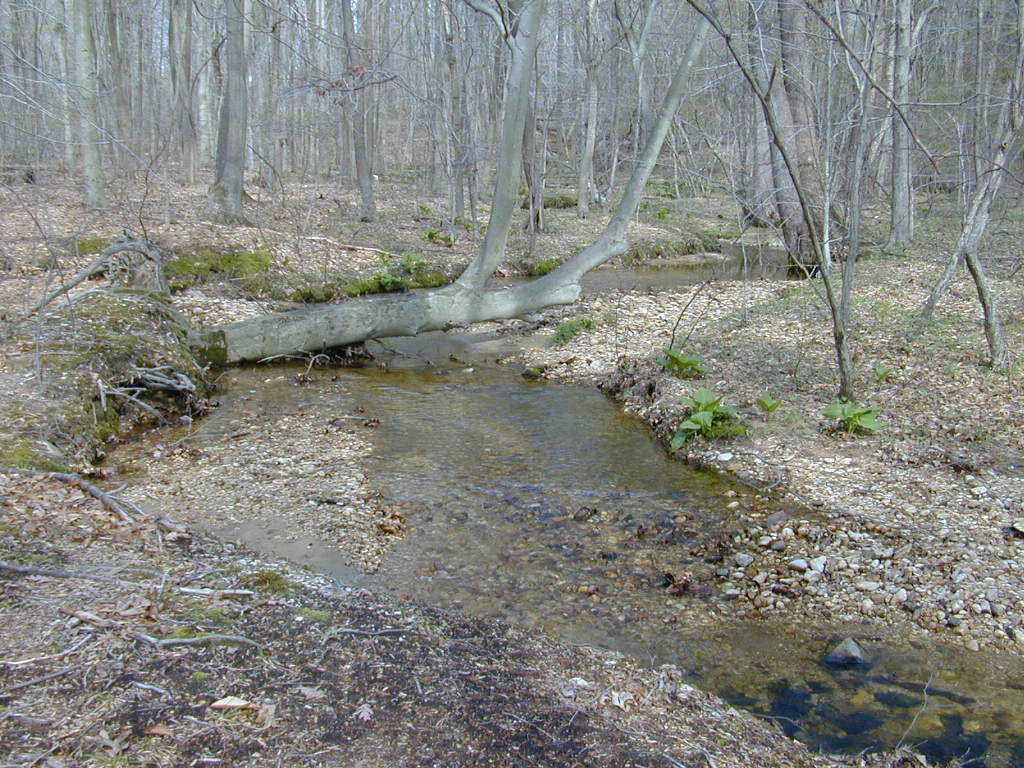 Field photo showing stream conditions at site FURN-101-C-2000-02