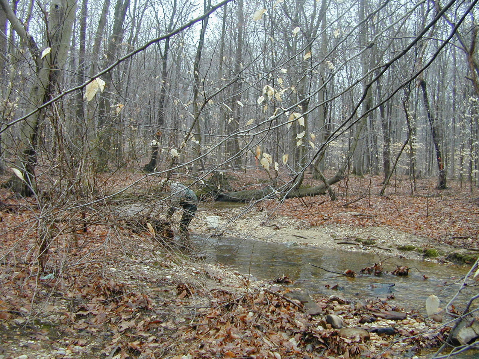 Field photo showing stream conditions at site FURN-101-S-2001-1