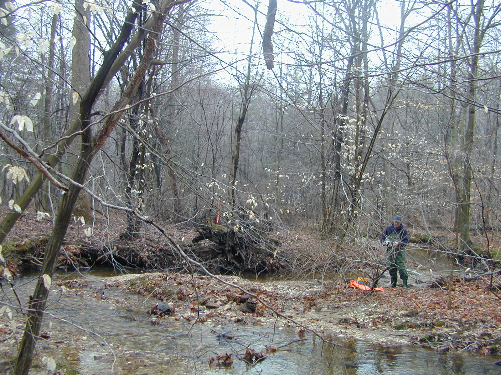 Field photo showing stream conditions at site FURN-101-S-2001-2
