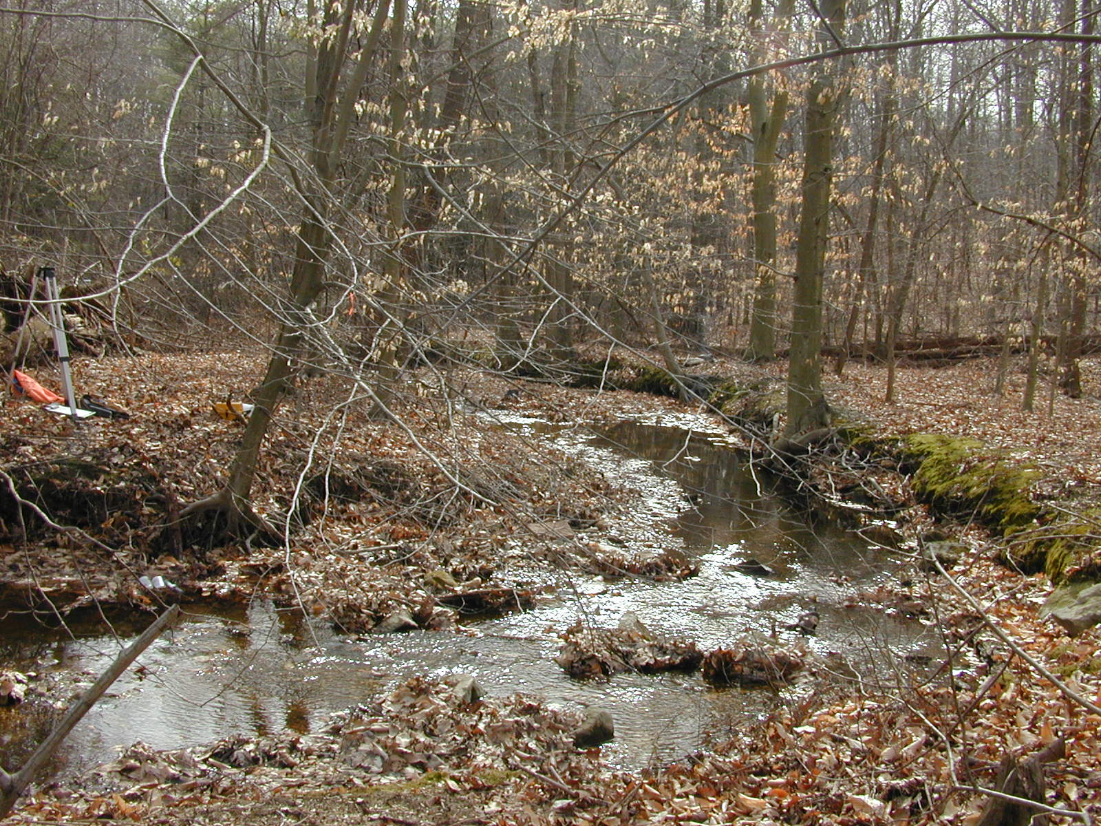 Field photo showing stream conditions at site FURN-101-S-2002-1