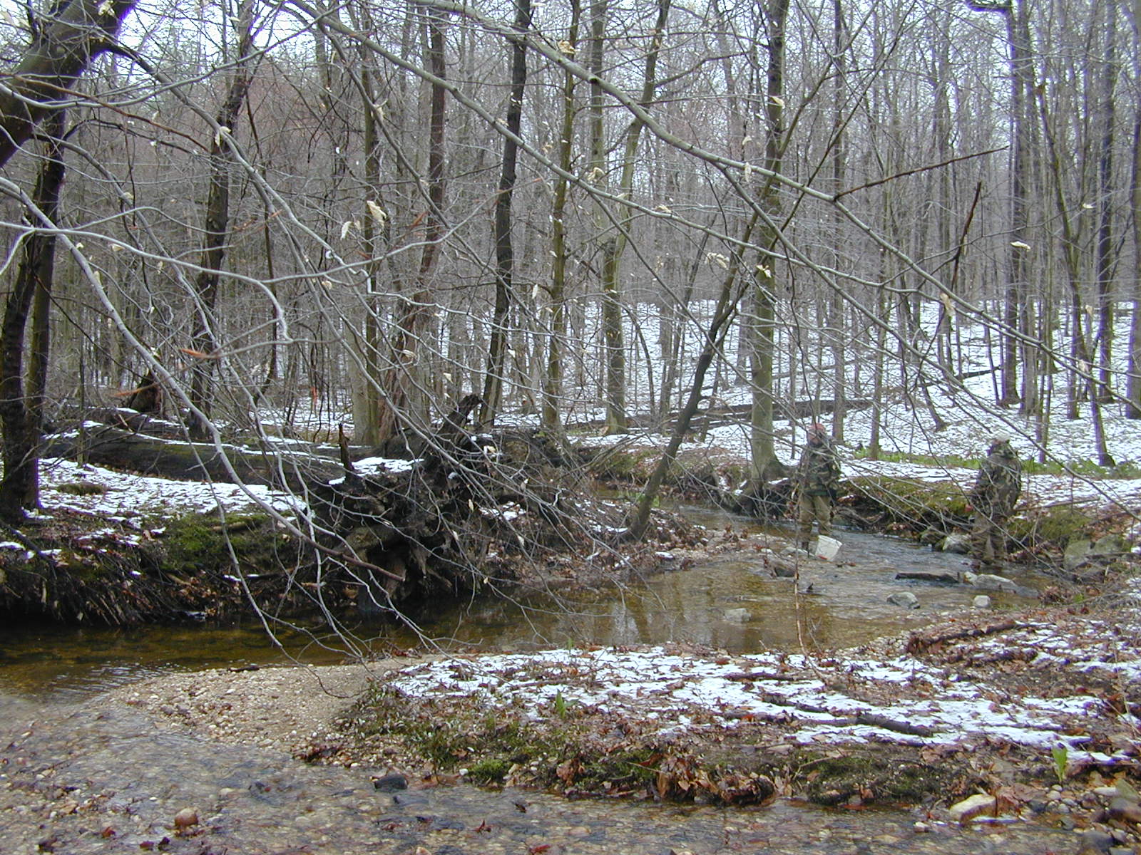 Field photo showing stream conditions at site FURN-101-S-2003-0981