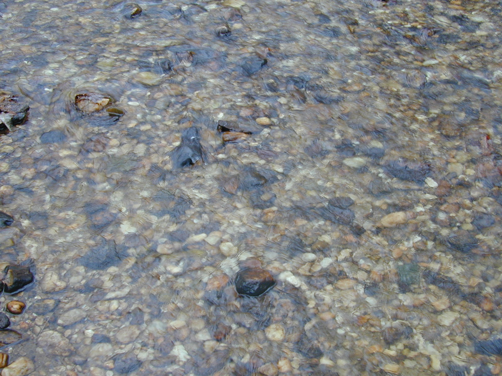 Field photo showing stream conditions at site FURN-101-S-2003-0982