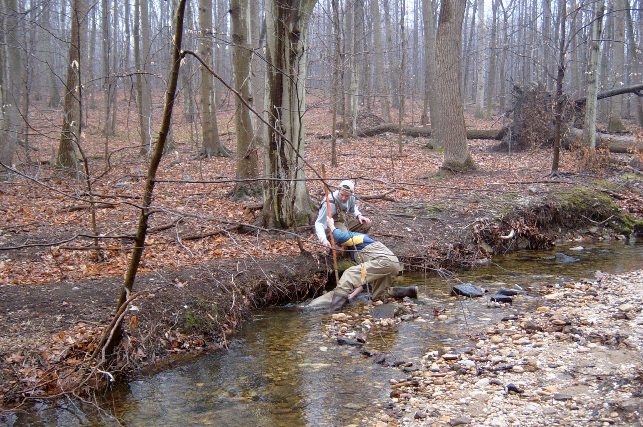 Field photo showing stream conditions at site FURN-101-S-2004-88