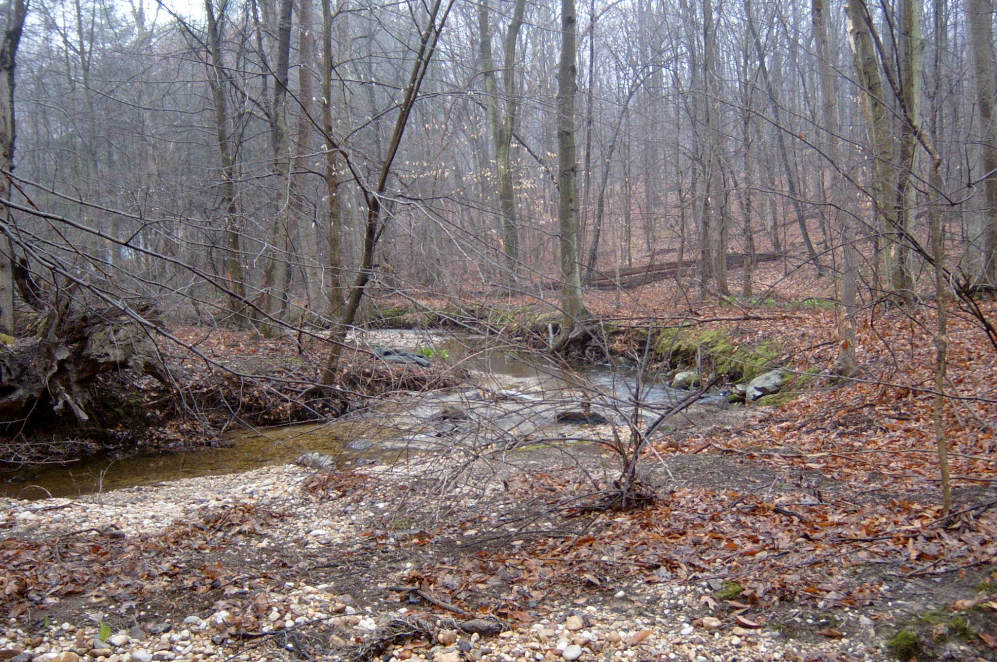 Field photo showing stream conditions at site FURN-101-S-2004-89
