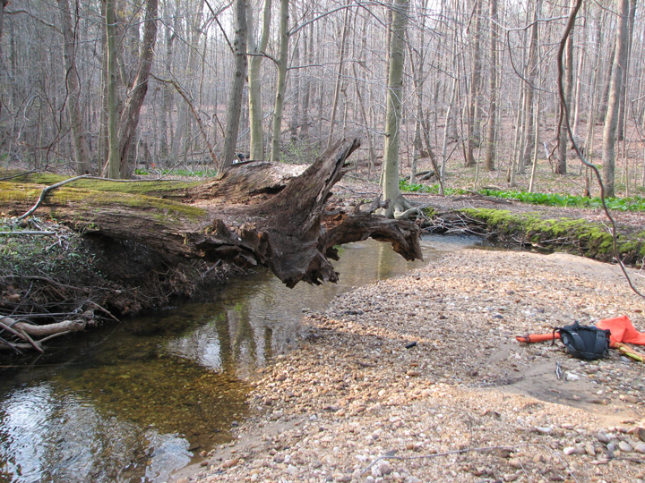 Field photo showing stream conditions at site FURN-101-S-2007-1