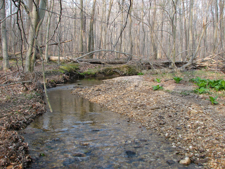 Field photo showing stream conditions at site FURN-101-S-2007-2