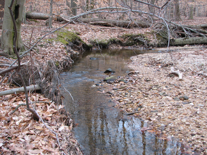 Field photo showing stream conditions at site FURN-101-S-2008-2